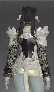 Protector's cuirass b.JPG