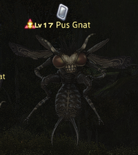 Pus Gnat.png