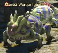 Worqor Iguana.jpg