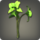 Green cattleyas icon1.png