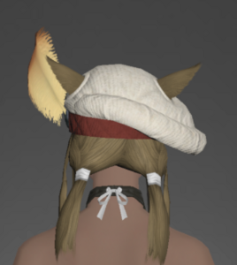 Woolen Beret rear.png