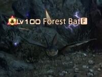 Forest Bat.jpg