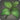 Direwort Leaves.png