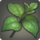 Direwort Leaves.png