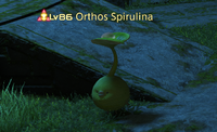 Orthos Spirulina.png