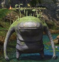 Mildewed Goobbue.jpg