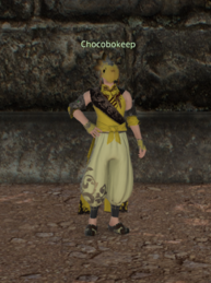 Chocobokeep Palaka's Stand npc.png