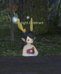 Starlight Celebrant 2021.PNG