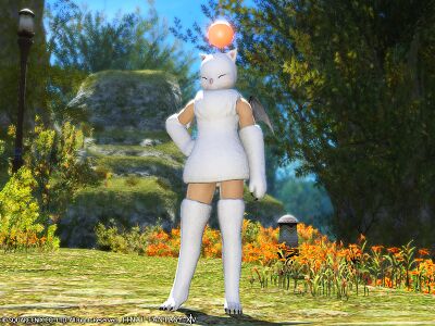 Moogle Attire img1.jpg