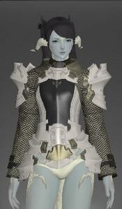 Protector's cuirass f.JPG