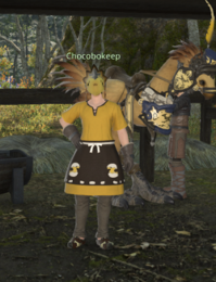 Chocobokeep Bentbranch Meadows.png