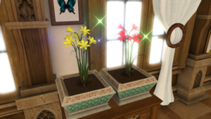 Triteleia Flowers1.png