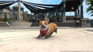 Corgi img1.jpg