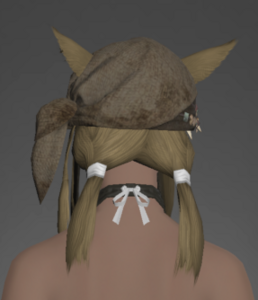 Pirate's Bandana rear.png