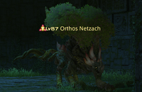 Orthos Netzach.png