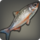 Bonytail chub icon1.png