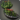 Cactuar colony planter icon1.png