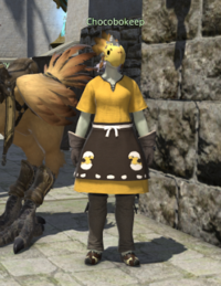 Chocobokeep Aleport.png