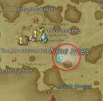 Faerie Funguar location.jpg