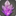 Lightning cluster icon1.png