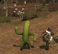 Cactuar-Jack.jpg