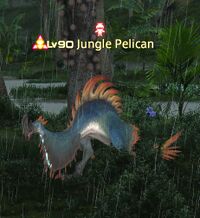 Jungle Pelican.jpg