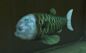 Ghoulfish Aquarium.jpg