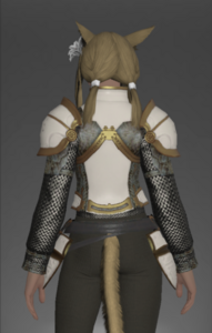 Militia Cuirass rear.png