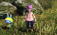 Minion Enthusiast (Gridania).png