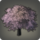 Seedling Icon.png