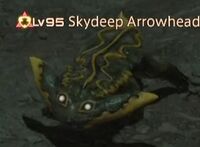 Skydeep Arrowhead.jpg