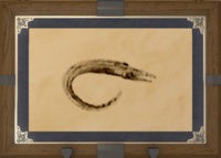 Pike Eel print.png