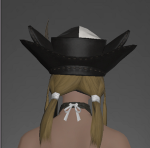 Company Hat rear.png