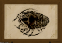 Hi-aetherlouse print.png