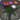 Rainbow carnations icon1.png