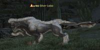 Silver lobo.png