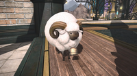 Supplicant Sheep.png