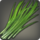 Thavnairian grass icon1.png