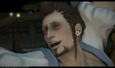 Ffxiv 08022014 224237.png