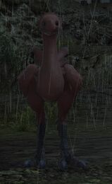 Red Chocobo.jpg