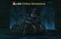 Orthos Belladonna.png