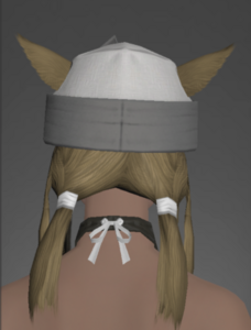 Patrician's Wedge Cap rear.png