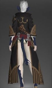 Battlemage Robes2.JPG