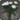 White carnations icon1.png