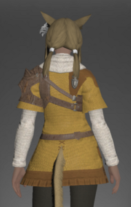 Custom-made Tunic rear.png