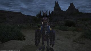 Behemoth barding2.jpg