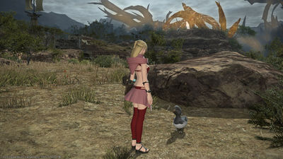 Black chocobo chick1.jpg