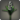 Black hyacinths icon1.png