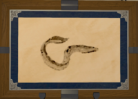 Amber Lamprey print.png