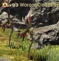 Worqor Cloudtrap.jpg